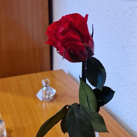 Apartman La Cueva De Gonza - 5 Pax - Wifi - Vut-4092-as Gijón